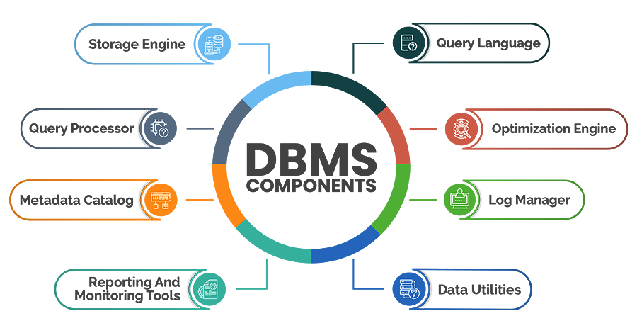 DBMS Components