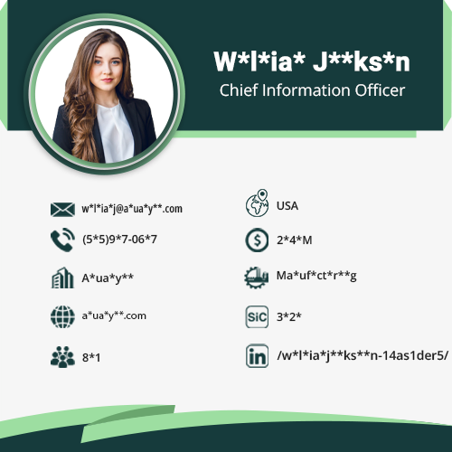 Chief Information Officer Data Card